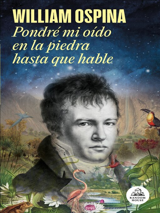 Cover image for Pondré mi oído en la piedra hasta que hable
